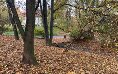 Revitalizace parku Jezerka je naplánována na příští rok Revitalizace parku Jezerka je naplánována na příští rok