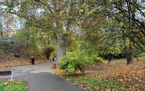 Revitalizace parku Jezerka je naplánována na příští rok Revitalizace parku Jezerka je naplánována na příští rok
