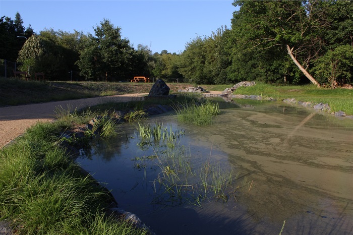Nový vodní biotop je v Braníku v ulici Za Mlýnem Nový vodní biotop je v Braníku v ulici Za Mlýnem