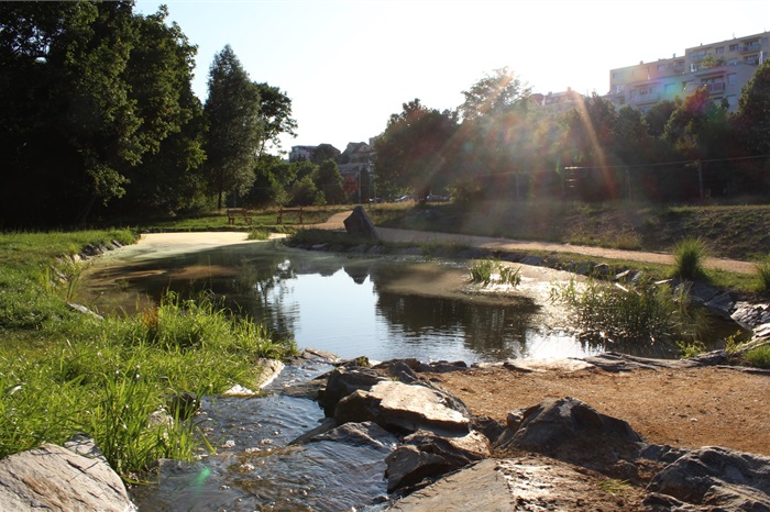 Nový vodní biotop je v Braníku v ulici Za Mlýnem Nový vodní biotop je v Braníku v ulici Za Mlýnem