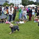 V parku Na Pankráci proběhl v neděli 11. září 2022 již 9. ročník oblíbené „zábavy pro psa i celou rodinu“ - PesFest 2022. Příchozí mohli vidět různá vystoupení psů a komentované ukázky výcviku, agility park, psí poradny, oblíbené psí soutěže, prodej chovatelských potřeb a samozřejmě vyhlášení sympaťáka PesFestu 2022.