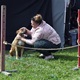 V parku Na Pankráci proběhl v neděli 11. září 2022 již 9. ročník oblíbené „zábavy pro psa i celou rodinu“ - PesFest 2022. Příchozí mohli vidět různá vystoupení psů a komentované ukázky výcviku, agility park, psí poradny, oblíbené psí soutěže, prodej chovatelských potřeb a samozřejmě vyhlášení sympaťáka PesFestu 2022.