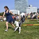 V neděli 5. září 2021 se na Pankrácké pláni uskutečnil již 8. ročník oblíbeného festivalu PesFest. Ten je věnovaný především čtyřnohým společníkům člověka. Celým festivalem provázel moderátor Miroslav Konvalinka a na zdárný průběh dohlížela zakladatelka akce – zastupitelka naší městské části Praha 4 a předsedkyně bezpečnostního výboru Lucie Michková (ODS). V průběhu odpoledne si příchozí návštěvníci mohli se svým zvířecím doprovodem vyzkoušet agility, aport buřtem nebo si zasoutěžit v chytání piškotu. Příchozí mohli i zakoupit různé potřeby pro své čtyřnohé parťáky a tím přispět na opuštěná zvířata v útulcích. 