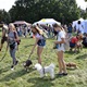 V neděli 5. září 2021 se na Pankrácké pláni uskutečnil již 8. ročník oblíbeného festivalu PesFest. Ten je věnovaný především čtyřnohým společníkům člověka. Celým festivalem provázel moderátor Miroslav Konvalinka a na zdárný průběh dohlížela zakladatelka akce – zastupitelka naší městské části Praha 4 a předsedkyně bezpečnostního výboru Lucie Michková (ODS). V průběhu odpoledne si příchozí návštěvníci mohli se svým zvířecím doprovodem vyzkoušet agility, aport buřtem nebo si zasoutěžit v chytání piškotu. Příchozí mohli i zakoupit různé potřeby pro své čtyřnohé parťáky a tím přispět na opuštěná zvířata v útulcích. 