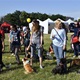 PesFest 2019 v Parku Na Pankráci