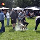 V parku Na Pankráci proběhl v neděli 11. září 2022 již 9. ročník oblíbené „zábavy pro psa i celou rodinu“ - PesFest 2022. Příchozí mohli vidět různá vystoupení psů a komentované ukázky výcviku, agility park, psí poradny, oblíbené psí soutěže, prodej chovatelských potřeb a samozřejmě vyhlášení sympaťáka PesFestu 2022.