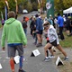 Nejstarší český maraton – „Marathon Praha – Dobříš“ - oslavil v letošní obnovené podobě 112. narozeniny. Letos se běželo v neděli 20. října 2019 v rámci tradičního a respektovaného seriálu zážitkových běhů Mizuno Trail Running Cup. Start byl v 11 hodin z pravého břehu Vltavy v areálu A-Parku v Braníku. Závod získal záštitu Českého atletického svazu a také prvního místostarosty městské části Praha 4 Zdenka Kováříka (ODS), který závod odstartoval.