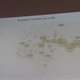 Přednáška "Integrace a imigrace očima českého muslima" na Nuselské radnici - 26. 5. 2016