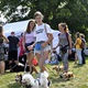 V neděli 5. září 2021 se na Pankrácké pláni uskutečnil již 8. ročník oblíbeného festivalu PesFest. Ten je věnovaný především čtyřnohým společníkům člověka. Celým festivalem provázel moderátor Miroslav Konvalinka a na zdárný průběh dohlížela zakladatelka akce – zastupitelka naší městské části Praha 4 a předsedkyně bezpečnostního výboru Lucie Michková (ODS). V průběhu odpoledne si příchozí návštěvníci mohli se svým zvířecím doprovodem vyzkoušet agility, aport buřtem nebo si zasoutěžit v chytání piškotu. Příchozí mohli i zakoupit různé potřeby pro své čtyřnohé parťáky a tím přispět na opuštěná zvířata v útulcích. 