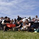PesFest 2019 v Parku Na Pankráci