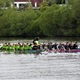 Rotary DB Charity Challenge - charitativní závod amatérských týmů na 200 metrů - také o tom byla sobota 13. května 2023 na Vltavě u Žlutých lázní v Podolí. 