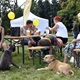 V neděli 5. září 2021 se na Pankrácké pláni uskutečnil již 8. ročník oblíbeného festivalu PesFest. Ten je věnovaný především čtyřnohým společníkům člověka. Celým festivalem provázel moderátor Miroslav Konvalinka a na zdárný průběh dohlížela zakladatelka akce – zastupitelka naší městské části Praha 4 a předsedkyně bezpečnostního výboru Lucie Michková (ODS). V průběhu odpoledne si příchozí návštěvníci mohli se svým zvířecím doprovodem vyzkoušet agility, aport buřtem nebo si zasoutěžit v chytání piškotu. Příchozí mohli i zakoupit různé potřeby pro své čtyřnohé parťáky a tím přispět na opuštěná zvířata v útulcích. 