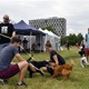 PesFest 2019 v Parku Na Pankráci