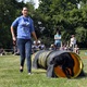 PesFest 2019 v Parku Na Pankráci