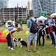 PesFest 2019 v Parku Na Pankráci