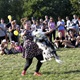 V neděli 5. září 2021 se na Pankrácké pláni uskutečnil již 8. ročník oblíbeného festivalu PesFest. Ten je věnovaný především čtyřnohým společníkům člověka. Celým festivalem provázel moderátor Miroslav Konvalinka a na zdárný průběh dohlížela zakladatelka akce – zastupitelka naší městské části Praha 4 a předsedkyně bezpečnostního výboru Lucie Michková (ODS). V průběhu odpoledne si příchozí návštěvníci mohli se svým zvířecím doprovodem vyzkoušet agility, aport buřtem nebo si zasoutěžit v chytání piškotu. Příchozí mohli i zakoupit různé potřeby pro své čtyřnohé parťáky a tím přispět na opuštěná zvířata v útulcích. 