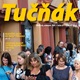 11. Tučňák - listopad 2016