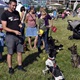 PesFest 2019 v Parku Na Pankráci