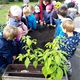 Ještě v podzimním čase, začátkem října 2020, MČ Praha 4 uskutečnila v rámci MA21 vzdělávací edukativní program pro děti. Ve dvou mateřských školkách (Kaplická, Táborská) a Montessori klubu Elipsa při ZŠ Školní proběhl zahradnický workshop. 
