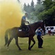 PesFest 2019 v Parku Na Pankráci