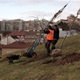 MČ Praha 4 v uplynulých dnech vysadila na vrchu Kapitol v pražské Michli do starého ovocného sadu celkem 55 nových ovocných stromů. V souladu s klimatickou politikou města došlo k dosazení dožívajícího historického sadu tradičními druhy peckovin (jde zejména různé druhy jedlých třešní) a malvic (hrušně, jeřáby), ale i k výsadbě zcela nové reprezentativní aleje napříč svahem z 23 exemplářů sytě růžově kvetoucích třešních chloupkatých (varieta Accolade). Na snímcích z 2. a 3. prosince 2021 je zachycena výsadba, kterou si přišel prohlédnout i radní Tomáš Hrdinka (ANO 2011). 
