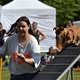 PesFest 2019 v Parku Na Pankráci