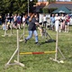 V neděli 5. září 2021 se na Pankrácké pláni uskutečnil již 8. ročník oblíbeného festivalu PesFest. Ten je věnovaný především čtyřnohým společníkům člověka. Celým festivalem provázel moderátor Miroslav Konvalinka a na zdárný průběh dohlížela zakladatelka akce – zastupitelka naší městské části Praha 4 a předsedkyně bezpečnostního výboru Lucie Michková (ODS). V průběhu odpoledne si příchozí návštěvníci mohli se svým zvířecím doprovodem vyzkoušet agility, aport buřtem nebo si zasoutěžit v chytání piškotu. Příchozí mohli i zakoupit různé potřeby pro své čtyřnohé parťáky a tím přispět na opuštěná zvířata v útulcích. 