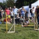 V neděli 5. září 2021 se na Pankrácké pláni uskutečnil již 8. ročník oblíbeného festivalu PesFest. Ten je věnovaný především čtyřnohým společníkům člověka. Celým festivalem provázel moderátor Miroslav Konvalinka a na zdárný průběh dohlížela zakladatelka akce – zastupitelka naší městské části Praha 4 a předsedkyně bezpečnostního výboru Lucie Michková (ODS). V průběhu odpoledne si příchozí návštěvníci mohli se svým zvířecím doprovodem vyzkoušet agility, aport buřtem nebo si zasoutěžit v chytání piškotu. Příchozí mohli i zakoupit různé potřeby pro své čtyřnohé parťáky a tím přispět na opuštěná zvířata v útulcích. 
