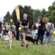 V neděli 5. září 2021 se na Pankrácké pláni uskutečnil již 8. ročník oblíbeného festivalu PesFest. Ten je věnovaný především čtyřnohým společníkům člověka. Celým festivalem provázel moderátor Miroslav Konvalinka a na zdárný průběh dohlížela zakladatelka akce – zastupitelka naší městské části Praha 4 a předsedkyně bezpečnostního výboru Lucie Michková (ODS). V průběhu odpoledne si příchozí návštěvníci mohli se svým zvířecím doprovodem vyzkoušet agility, aport buřtem nebo si zasoutěžit v chytání piškotu. Příchozí mohli i zakoupit různé potřeby pro své čtyřnohé parťáky a tím přispět na opuštěná zvířata v útulcích. 