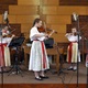 O prvním červnovém víkendu proběhl na zahradě kostela sv. Františka z Assisi v Praze 4 – Krči již 20. ročník festivalu Habrovka.