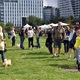 V parku Na Pankráci proběhl v neděli 11. září 2022 již 9. ročník oblíbené „zábavy pro psa i celou rodinu“ - PesFest 2022. Příchozí mohli vidět různá vystoupení psů a komentované ukázky výcviku, agility park, psí poradny, oblíbené psí soutěže, prodej chovatelských potřeb a samozřejmě vyhlášení sympaťáka PesFestu 2022.