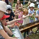 O prvním červnovém víkendu proběhl na zahradě kostela sv. Františka z Assisi v Praze 4 – Krči již 20. ročník festivalu Habrovka.