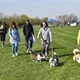 Na "Psí louce" na Kavčích horách se v sobotu 22. dubna 2023 od deváté ranní uskutečnil již třetí ročník oblíbeného závodu Corgi race cup.