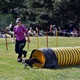 PesFest 2019 v Parku Na Pankráci