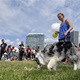 PesFest 2019 v Parku Na Pankráci