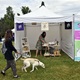 PesFest 2019 v Parku Na Pankráci