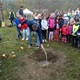Pod Branickou skalou se 22. října 2019 uskutečnila tradiční akce - Den stromů. Až do 16 hodiny zde na příchozí čekaly čtyři stánky s informacemi o lesích v Praze. V rámci akce byly také vysazeny do parku dva vzrostlejší javory. Akci podpořil svou přítomností i radní pro životní prostředí Tomáš Hrdinka (ANO 2011).