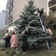 Komunitní zdobení vánočních stromů 2018