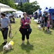 PesFest 2019 v Parku Na Pankráci