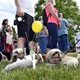 PesFest 2019 v Parku Na Pankráci