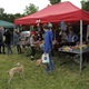 2. ročník festivalu PesFest 2014 v Parku Družby na Pankráci