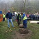 Pod Branickou skalou se 22. října 2019 uskutečnila tradiční akce - Den stromů. Až do 16 hodiny zde na příchozí čekaly čtyři stánky s informacemi o lesích v Praze. V rámci akce byly také vysazeny do parku dva vzrostlejší javory. Akci podpořil svou přítomností i radní pro životní prostředí Tomáš Hrdinka (ANO 2011).