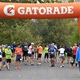 Nejstarší český maraton – „Marathon Praha – Dobříš“ - oslavil v letošní obnovené podobě 112. narozeniny. Letos se běželo v neděli 20. října 2019 v rámci tradičního a respektovaného seriálu zážitkových běhů Mizuno Trail Running Cup. Start byl v 11 hodin z pravého břehu Vltavy v areálu A-Parku v Braníku. Závod získal záštitu Českého atletického svazu a také prvního místostarosty městské části Praha 4 Zdenka Kováříka (ODS), který závod odstartoval.