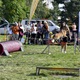 V neděli 5. září 2021 se na Pankrácké pláni uskutečnil již 8. ročník oblíbeného festivalu PesFest. Ten je věnovaný především čtyřnohým společníkům člověka. Celým festivalem provázel moderátor Miroslav Konvalinka a na zdárný průběh dohlížela zakladatelka akce – zastupitelka naší městské části Praha 4 a předsedkyně bezpečnostního výboru Lucie Michková (ODS). V průběhu odpoledne si příchozí návštěvníci mohli se svým zvířecím doprovodem vyzkoušet agility, aport buřtem nebo si zasoutěžit v chytání piškotu. Příchozí mohli i zakoupit různé potřeby pro své čtyřnohé parťáky a tím přispět na opuštěná zvířata v útulcích. 