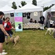 PesFest 2019 v Parku Na Pankráci