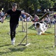 V neděli 5. září 2021 se na Pankrácké pláni uskutečnil již 8. ročník oblíbeného festivalu PesFest. Ten je věnovaný především čtyřnohým společníkům člověka. Celým festivalem provázel moderátor Miroslav Konvalinka a na zdárný průběh dohlížela zakladatelka akce – zastupitelka naší městské části Praha 4 a předsedkyně bezpečnostního výboru Lucie Michková (ODS). V průběhu odpoledne si příchozí návštěvníci mohli se svým zvířecím doprovodem vyzkoušet agility, aport buřtem nebo si zasoutěžit v chytání piškotu. Příchozí mohli i zakoupit různé potřeby pro své čtyřnohé parťáky a tím přispět na opuštěná zvířata v útulcích. 