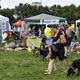 V neděli 5. září 2021 se na Pankrácké pláni uskutečnil již 8. ročník oblíbeného festivalu PesFest. Ten je věnovaný především čtyřnohým společníkům člověka. Celým festivalem provázel moderátor Miroslav Konvalinka a na zdárný průběh dohlížela zakladatelka akce – zastupitelka naší městské části Praha 4 a předsedkyně bezpečnostního výboru Lucie Michková (ODS). V průběhu odpoledne si příchozí návštěvníci mohli se svým zvířecím doprovodem vyzkoušet agility, aport buřtem nebo si zasoutěžit v chytání piškotu. Příchozí mohli i zakoupit různé potřeby pro své čtyřnohé parťáky a tím přispět na opuštěná zvířata v útulcích. 
