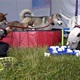 PesFest 2019 v Parku Na Pankráci