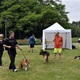 PesFest 2019 v Parku Na Pankráci