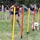 V neděli 5. září 2021 se na Pankrácké pláni uskutečnil již 8. ročník oblíbeného festivalu PesFest. Ten je věnovaný především čtyřnohým společníkům člověka. Celým festivalem provázel moderátor Miroslav Konvalinka a na zdárný průběh dohlížela zakladatelka akce – zastupitelka naší městské části Praha 4 a předsedkyně bezpečnostního výboru Lucie Michková (ODS). V průběhu odpoledne si příchozí návštěvníci mohli se svým zvířecím doprovodem vyzkoušet agility, aport buřtem nebo si zasoutěžit v chytání piškotu. Příchozí mohli i zakoupit různé potřeby pro své čtyřnohé parťáky a tím přispět na opuštěná zvířata v útulcích. 